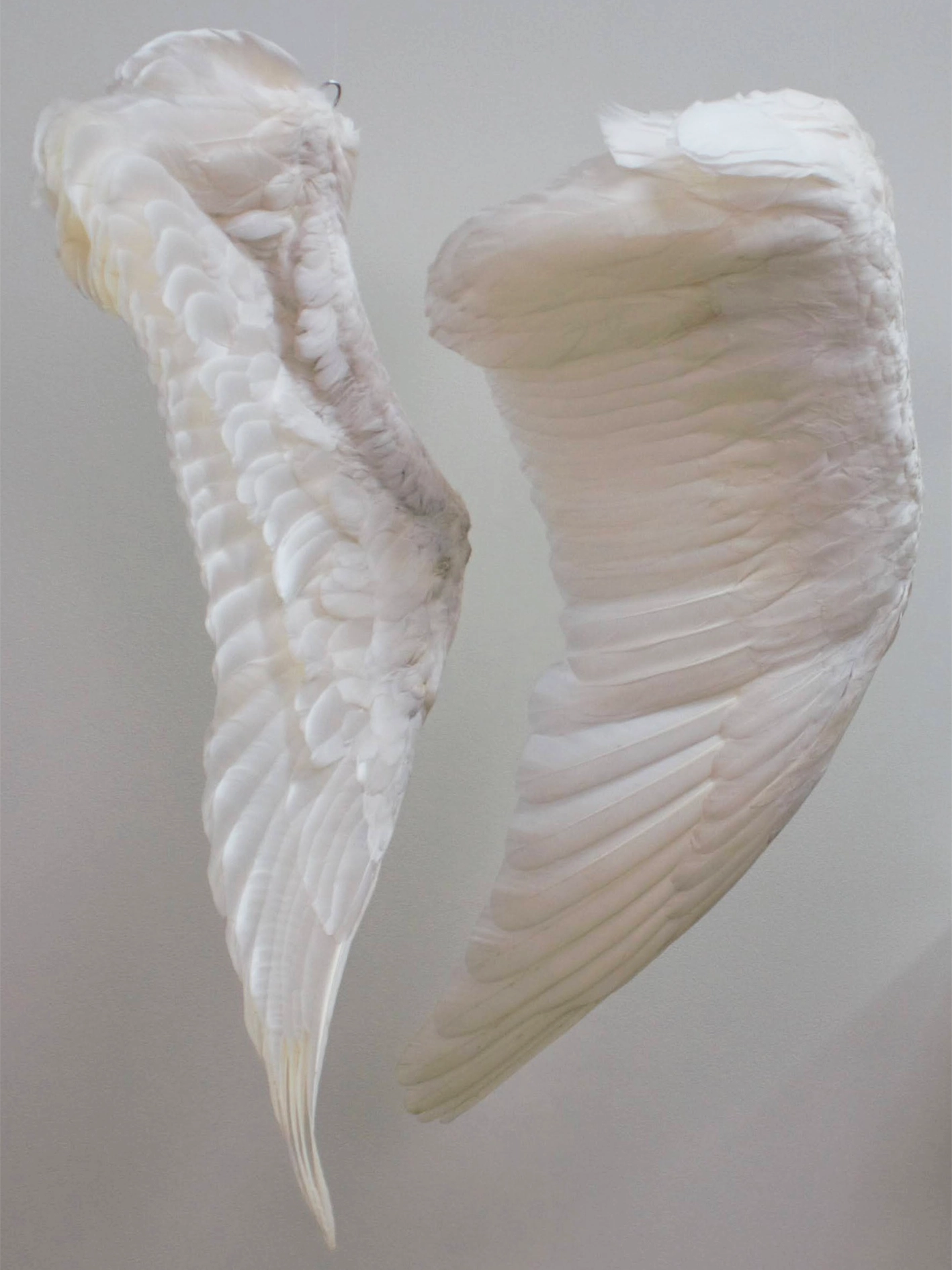 Measuring the Unknown I Udstillingen UDENFOR INDENFOR, Arresten Hjørring. foto: Olivia Valbak Kamrart