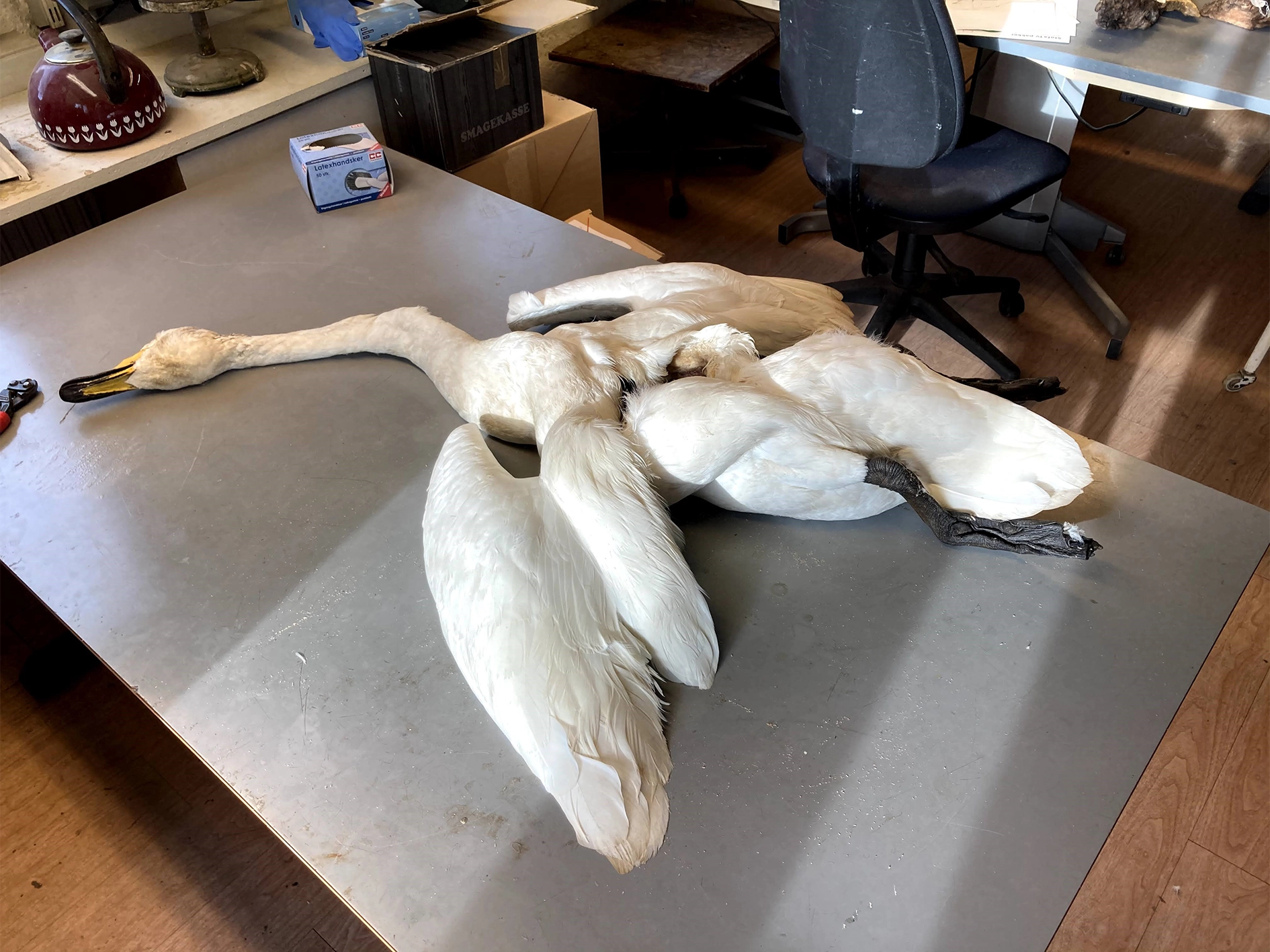 Measuring the Unknown I Udstillingen UDENFOR INDENFOR, Arresten Hjørring. foto: Olivia Valbak Kamrart