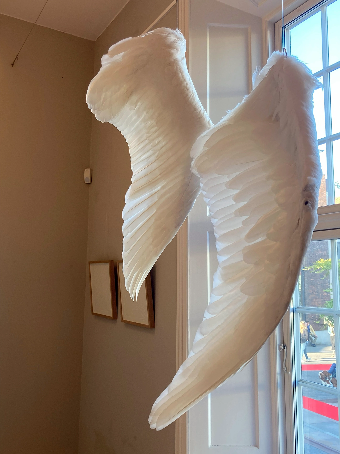 Measuring the Unknown I performance udstillingen UDENFOR INDENFOR, Arresten Hjørring. eget foto