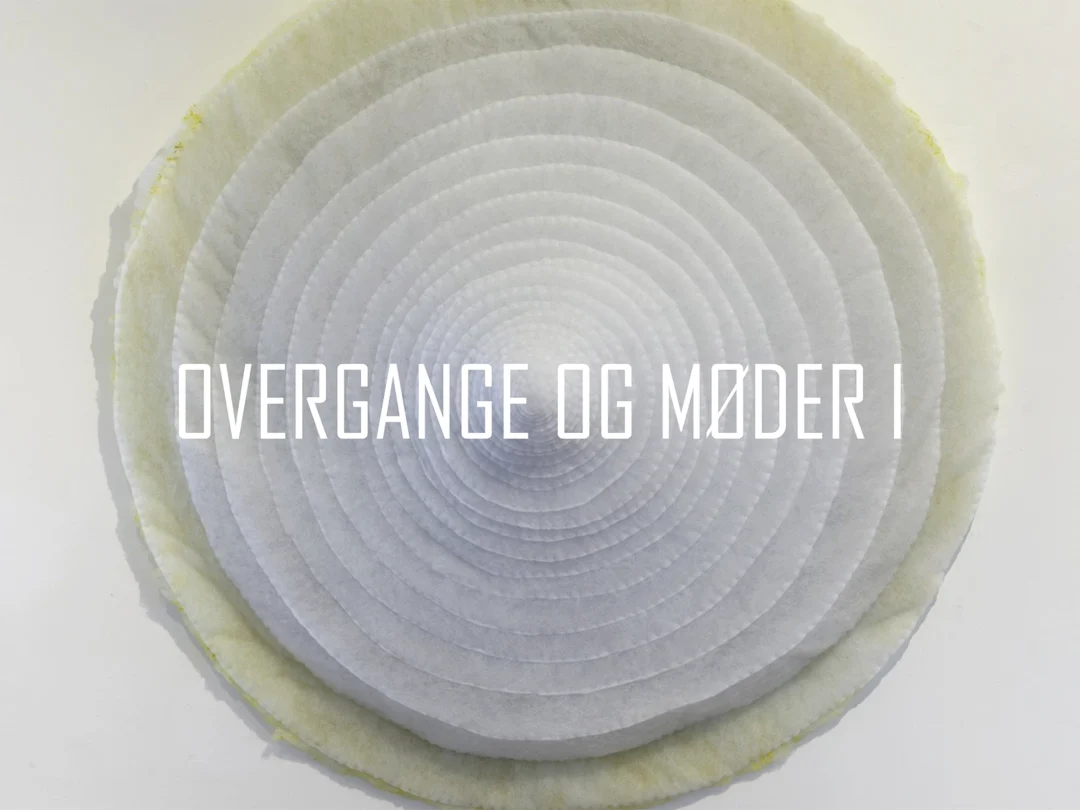 Transitions and Encounters I