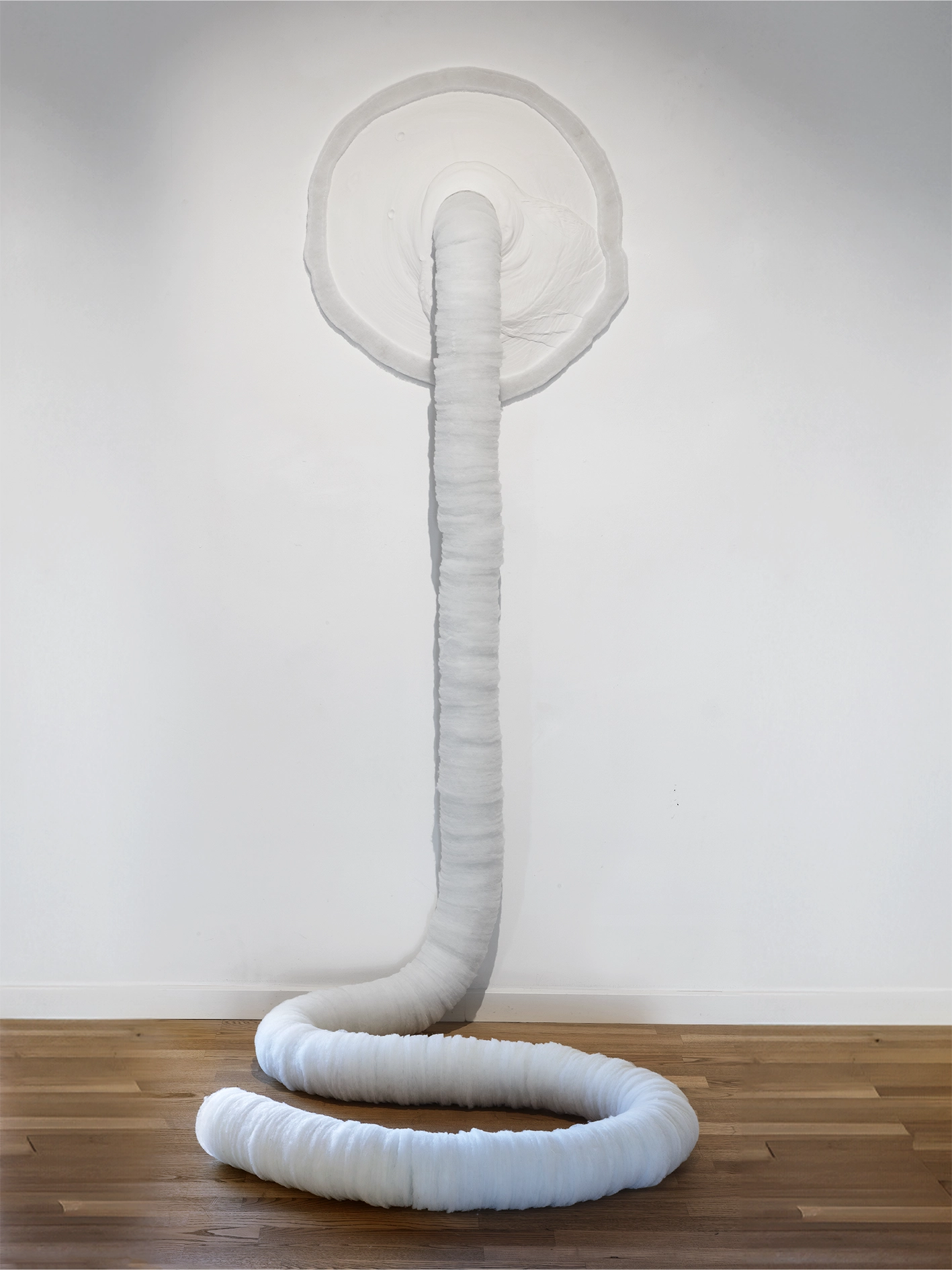 Measuring the Unknown I Udstillingen UDENFOR INDENFOR, Arresten Hjørring. foto: Olivia Valbak Kamrart