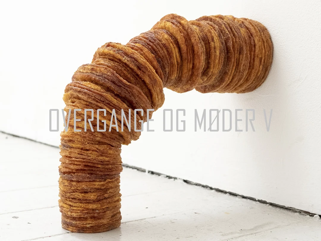 Transitions and Encounters V