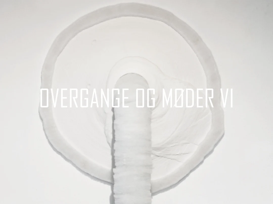 Transitions and Encounters VI