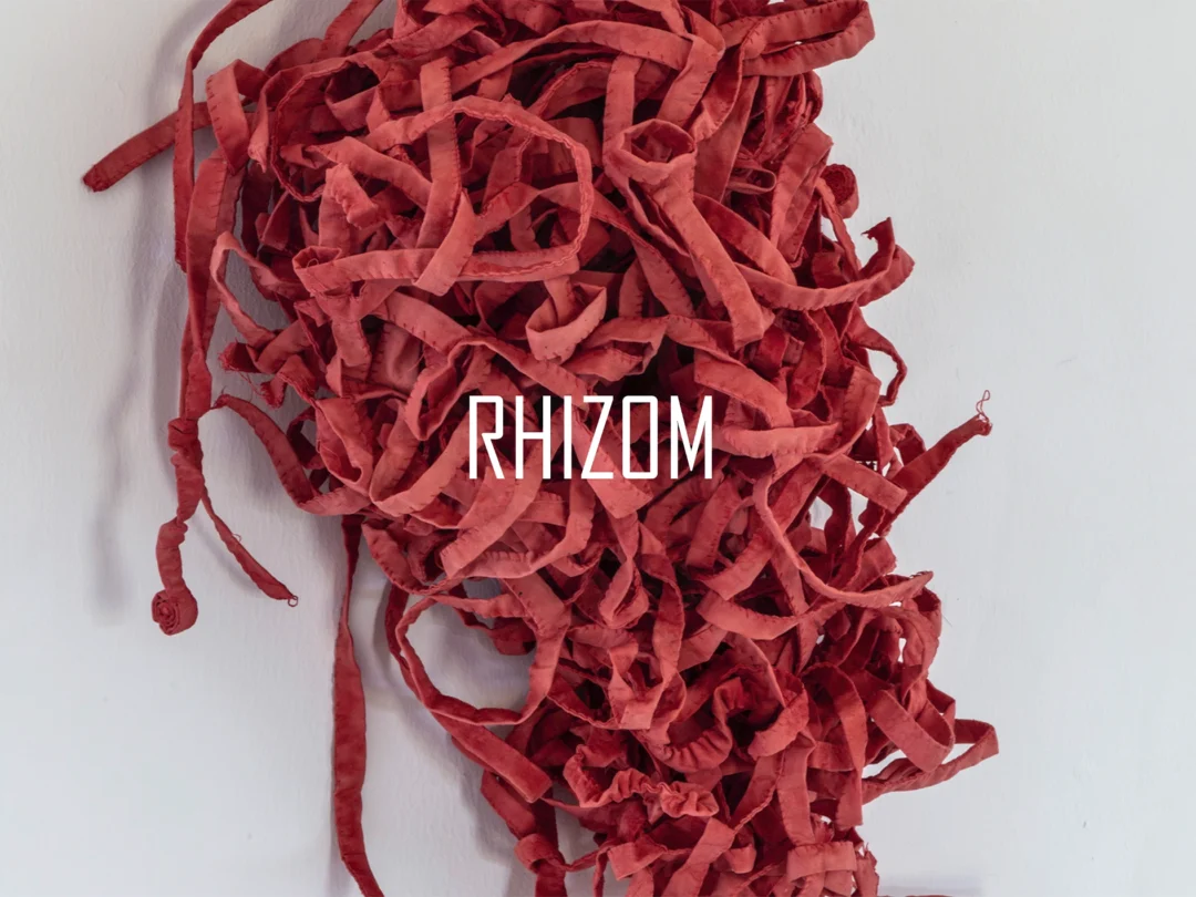 Rhizome