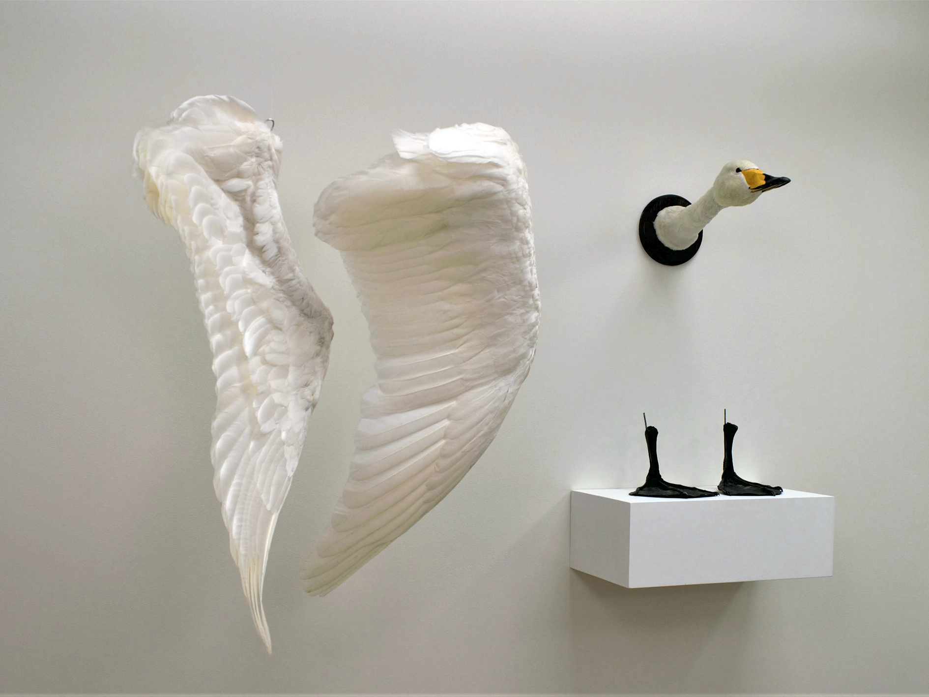 Measuring the Unknown I Udstillingen UDENFOR INDENFOR, Arresten Hjørring. foto: Olivia Valbak Kamrart