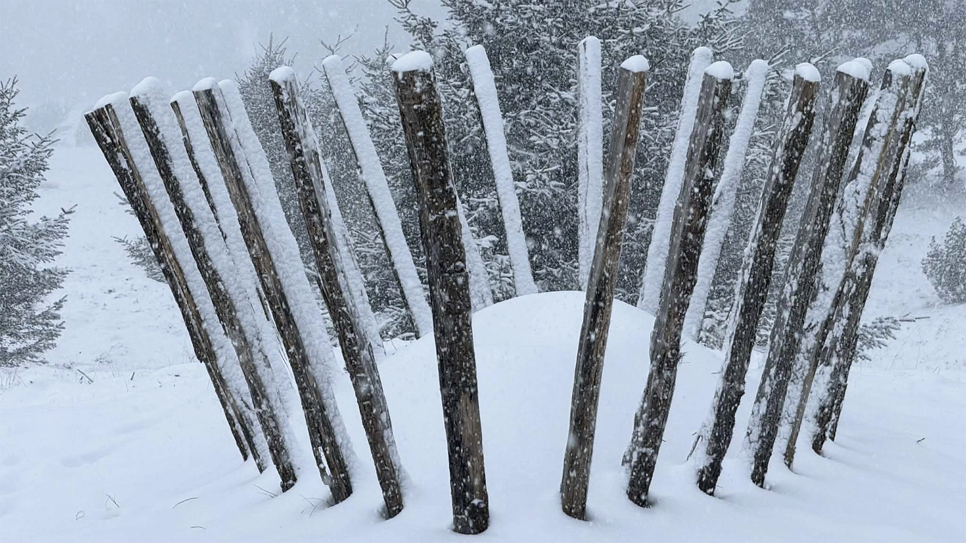 Measuring the Unknown I Udstillingen UDENFOR INDENFOR, Arresten Hjørring. foto: Olivia Valbak Kamrart